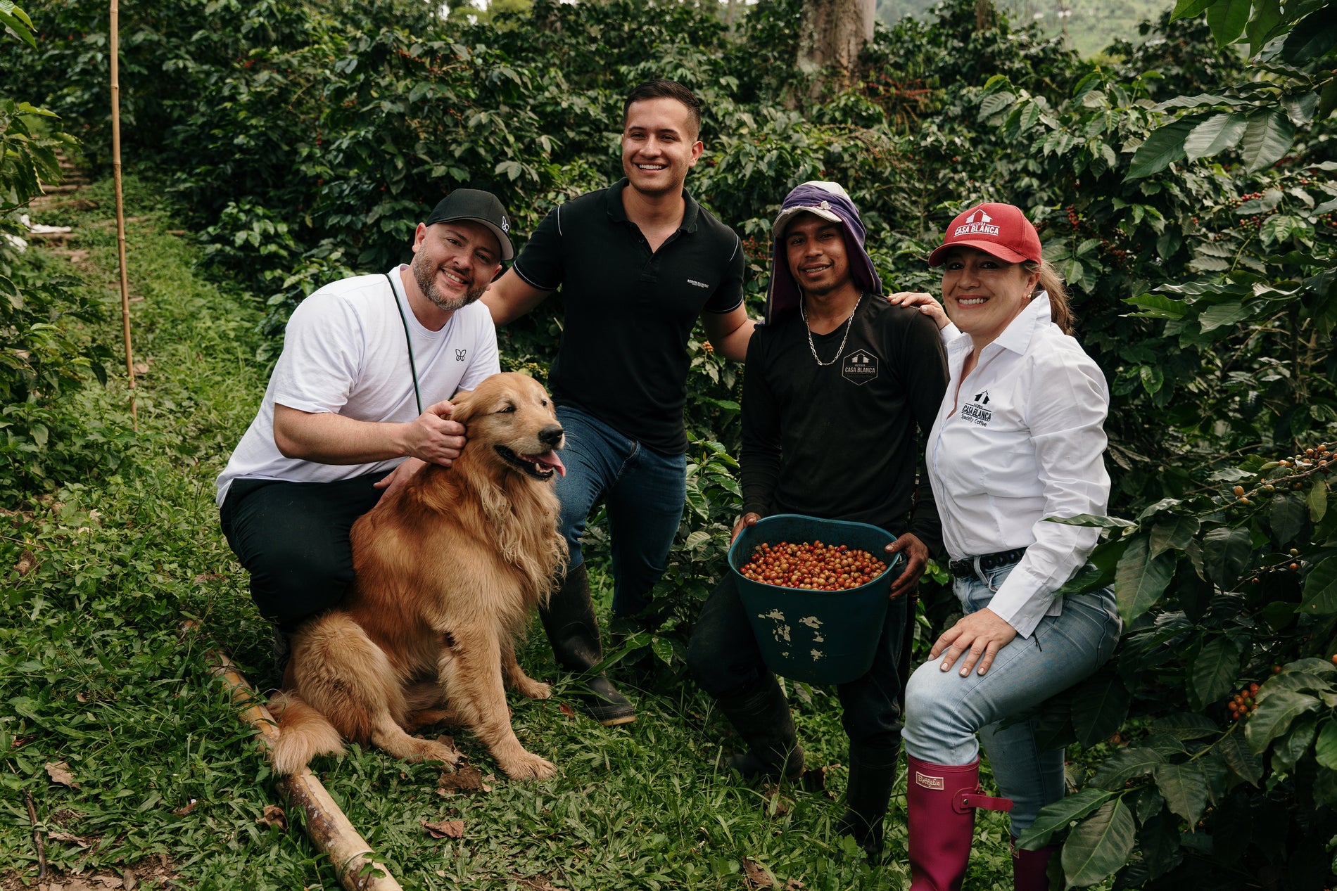 Caballero By Liliana Caballero