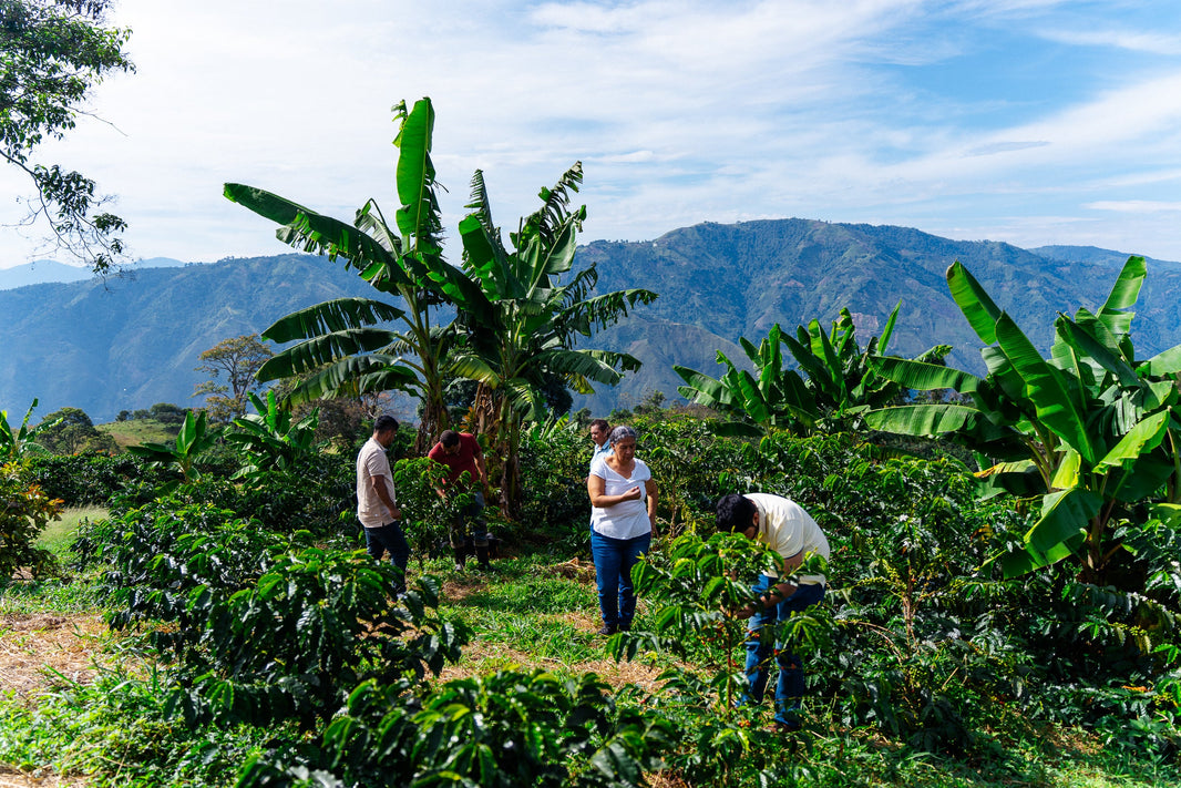 Juicy Storm by Edinson Argote