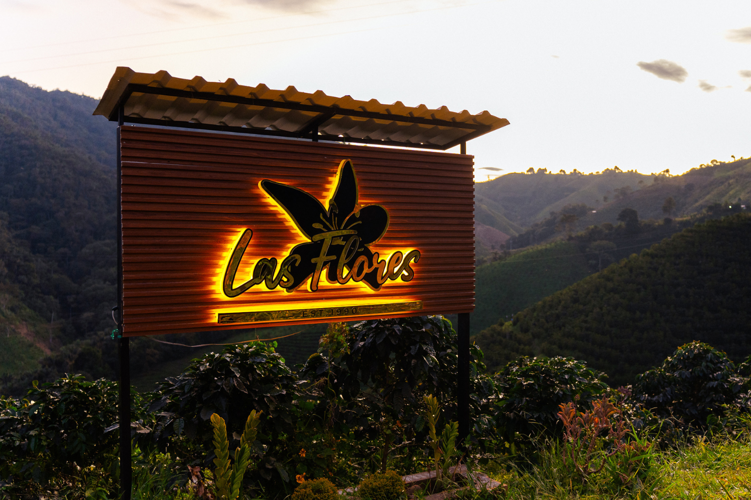 Red Monarch by Jhoan Vergara