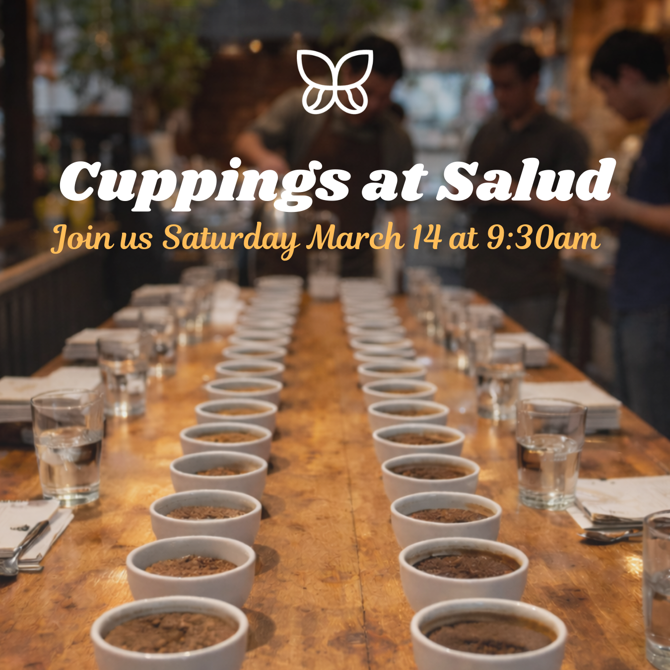 Cupping Sessions