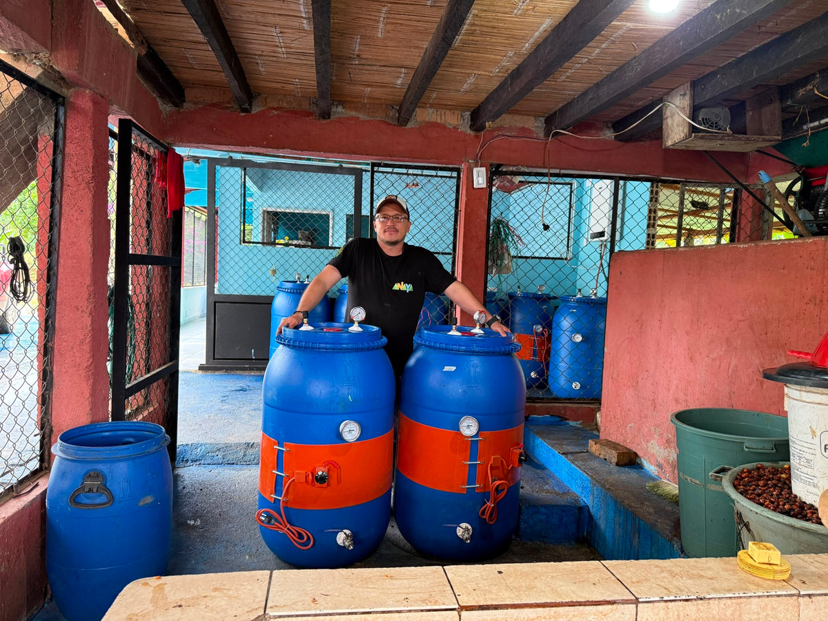 Coffee producer at Anaya Farm's fermentation and processing area